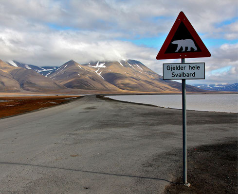 Een verkeersbord met een waarschuwing voor ijsberen, geplaatst langs een weg in Svalbard, met op de achtergrond bergen en een wateroppervlak.