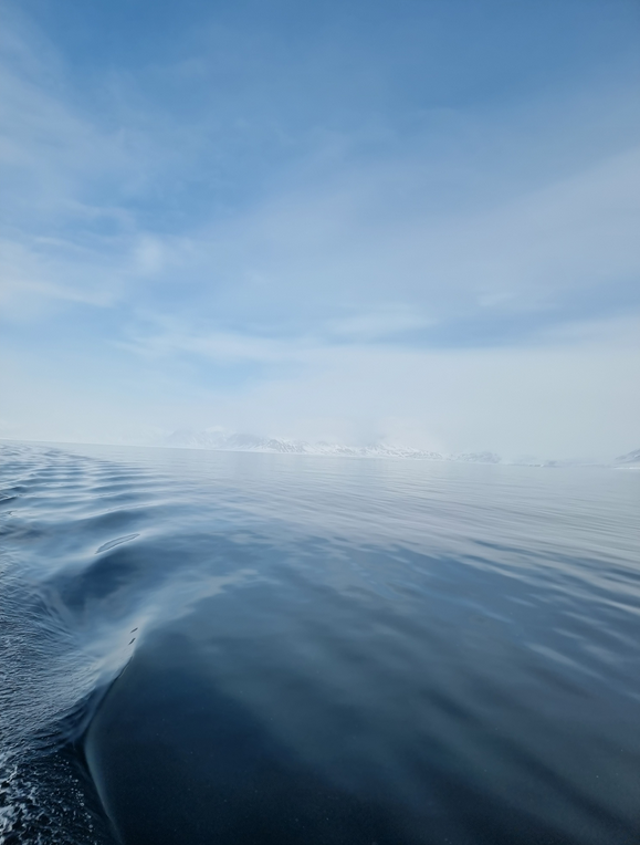 Uitzicht op een kalm fjord met een heldere lucht en besneeuwde bergen in de verte.