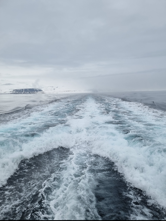 Uitzicht op het ijzige fjord met de sporen van een snelle catamaran achtergelaten in het water, omringd door bergen en een bewolkte lucht.