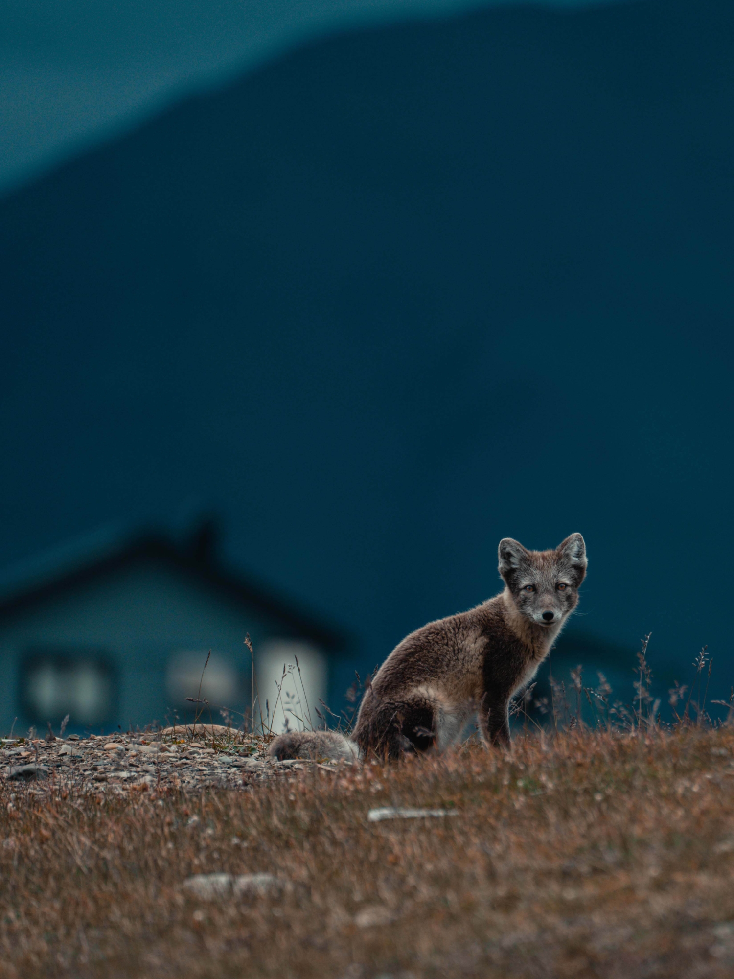Hoe ervaar je de middernachtzon op Spitsbergen?
